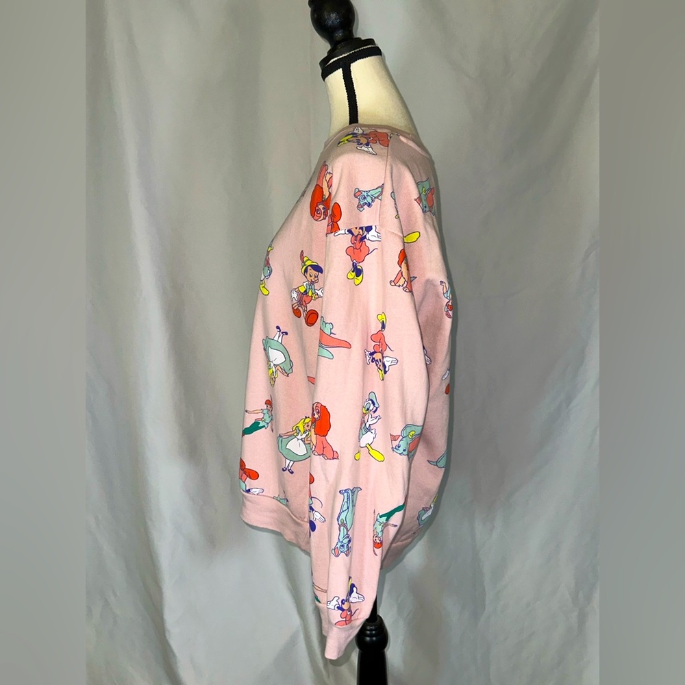 Disney 100 Characters Sweatshirt Pink Alice Lady Peter Pan Dumbo Mickey XL 15-17 - Picture 2 of 7
